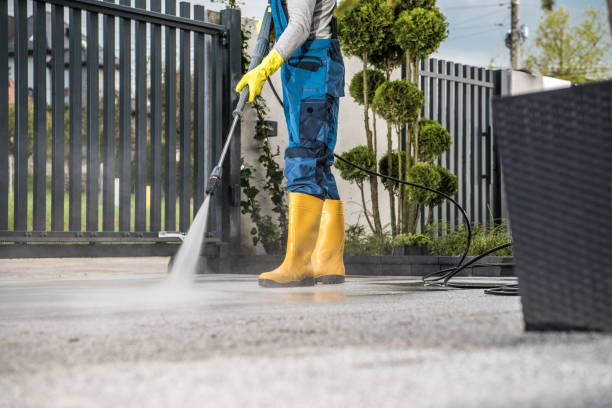 Trusted Catonsville, MD Pressure Washing Services Experts